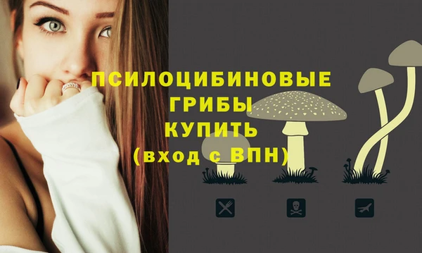 МДМА Верхний Тагил